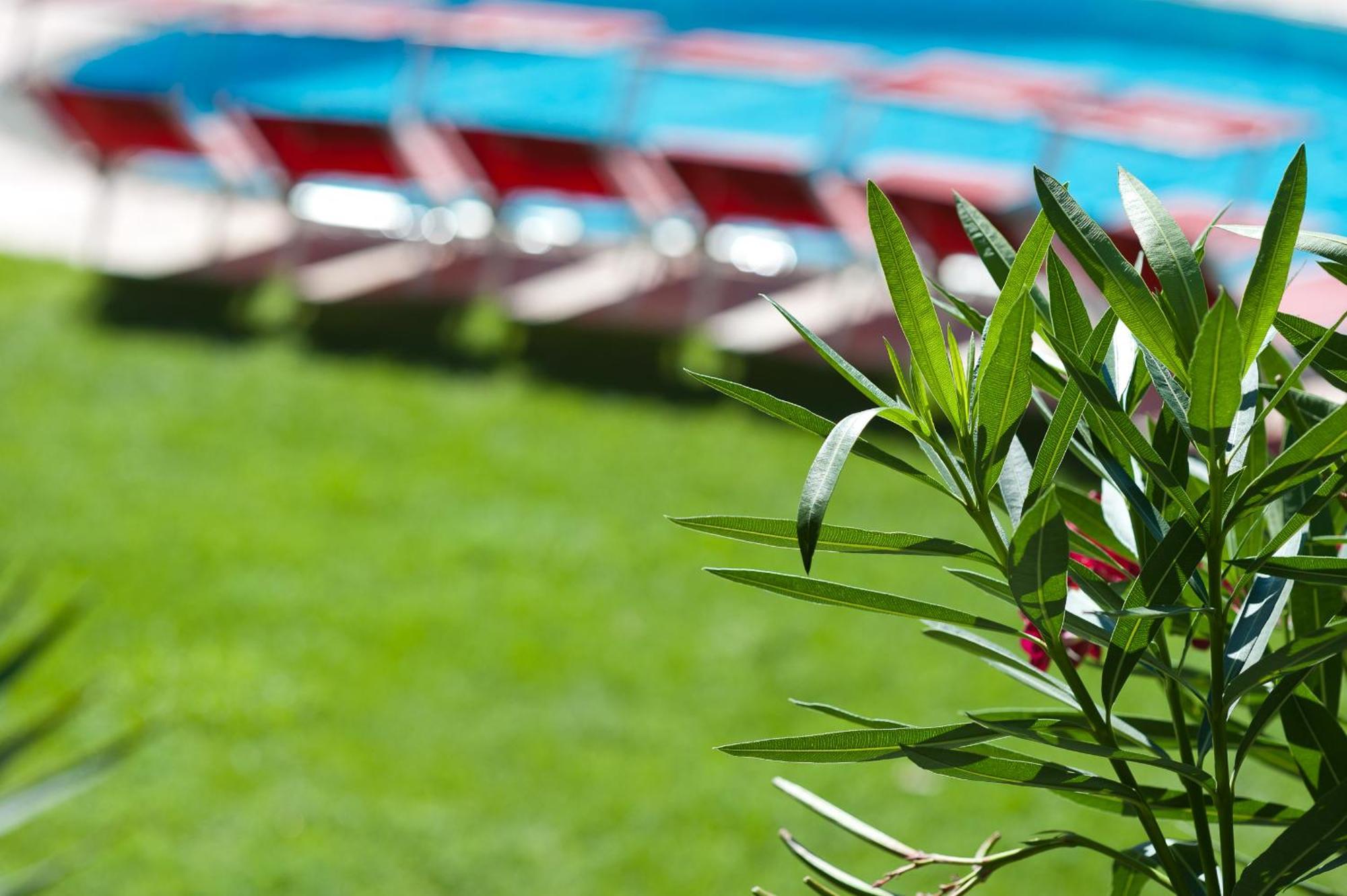 Business Resort Parkhotel Werth Bolzano Esterno foto