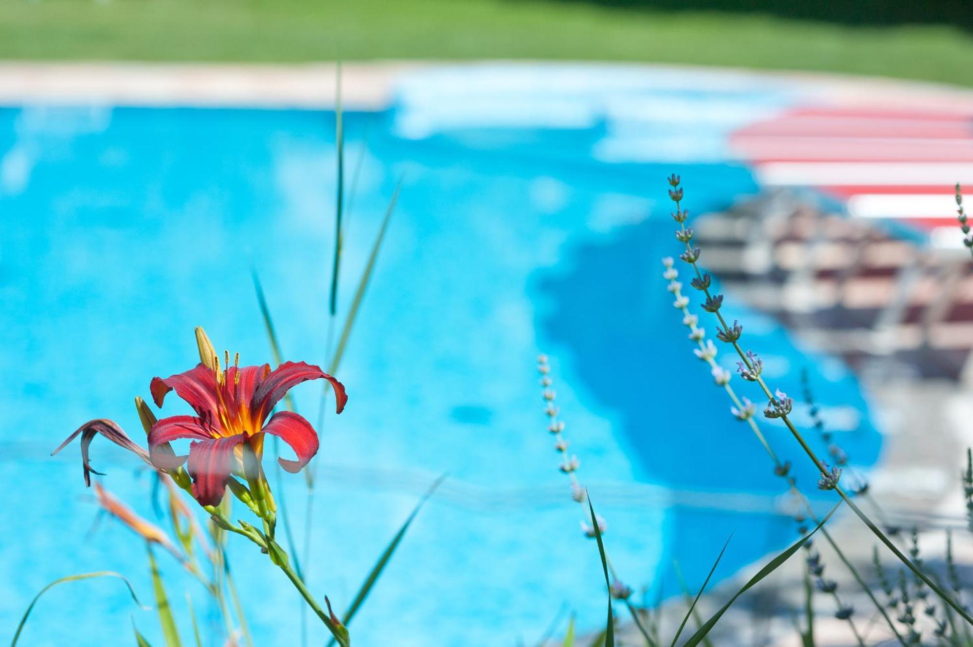 Business Resort Parkhotel Werth Bolzano Esterno foto